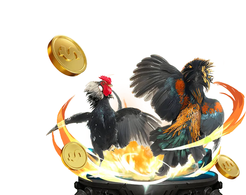 Hướng dẫn chọn nhà cái cá cược uy tín